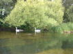 DSC00300.JPG