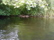 DSC00303.JPG