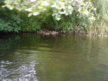 DSC00303.JPG