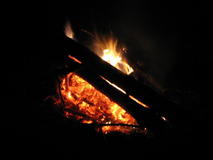 IMG_7447.JPG