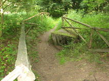 IMG_7454.JPG