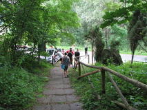 IMG_7457.JPG