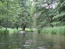IMG_7470.JPG