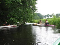 IMG_7506.JPG