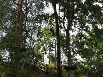 IMG_7848.JPG