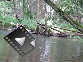 MVI_7790-801.mp4