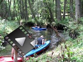 MVI_7814a.mp4