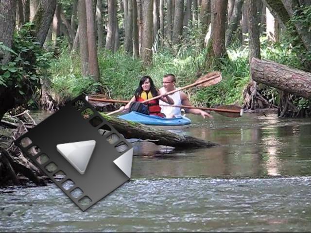 MVI_7820-28.mp4