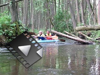 MVI_7838.mp4