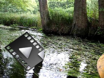 MVI_7852.mp4