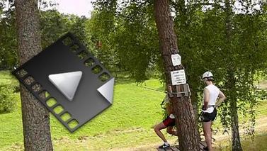 P1160464-65.mp4