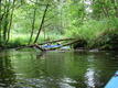 DSC00496.JPG