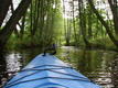 DSC00497.JPG