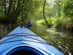 DSC00499.JPG