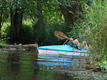 DSC00517.JPG