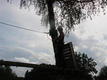 DSC00534.JPG
