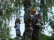 DSC00537.JPG