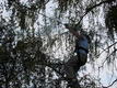 DSC00550.JPG