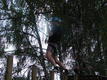 DSC00558.JPG