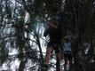 DSC00560.JPG