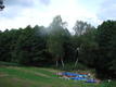 DSC00575.JPG