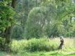 DSC00580.JPG