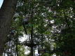DSC00601.JPG