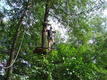 DSC00603.JPG