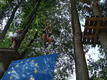DSC00607.JPG