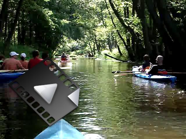 MOV00714.mp4