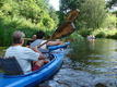 DSC00675.JPG