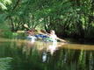 DSC00700.JPG