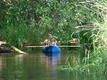 DSC00727.JPG