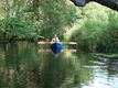 DSC00733.JPG