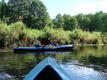 DSC00737.JPG