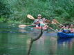 DSC00747.JPG