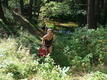DSC00779.JPG