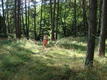 DSC00781.JPG