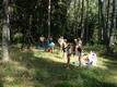 DSC00786.JPG