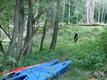DSC00788.JPG