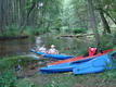 DSC00796.JPG