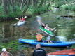 DSC00808.JPG