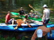 DSC00814.JPG