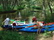 DSC00820.JPG