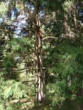 DSC00861.JPG