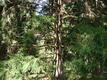 DSC00862.JPG
