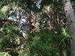 DSC00863.JPG