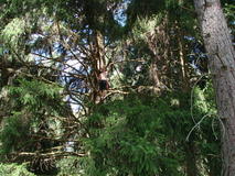 DSC00863.JPG