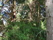 DSC00866.JPG