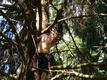 DSC00869.JPG